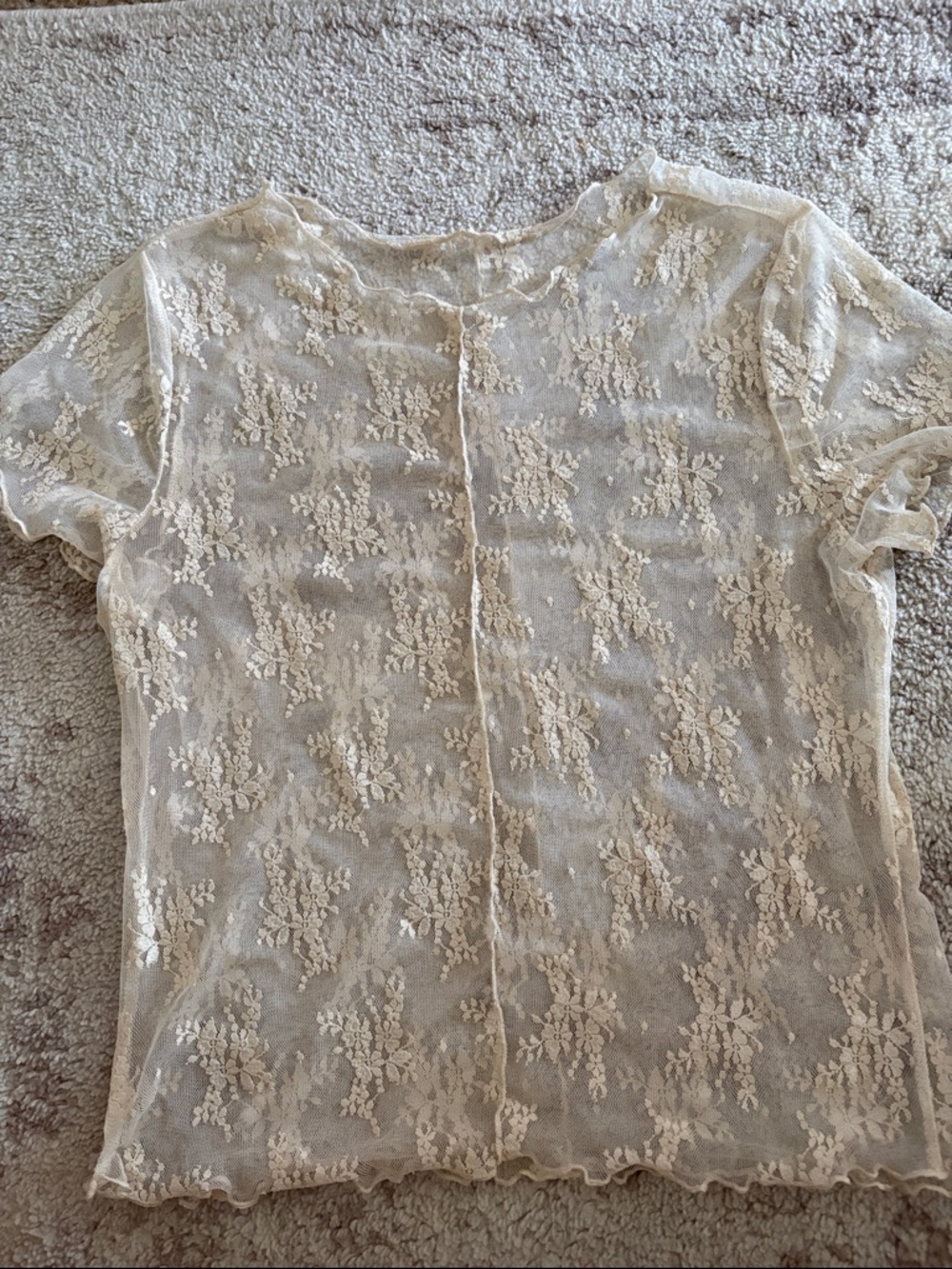 Sheer Lace Short-Sleeve Top in Cream